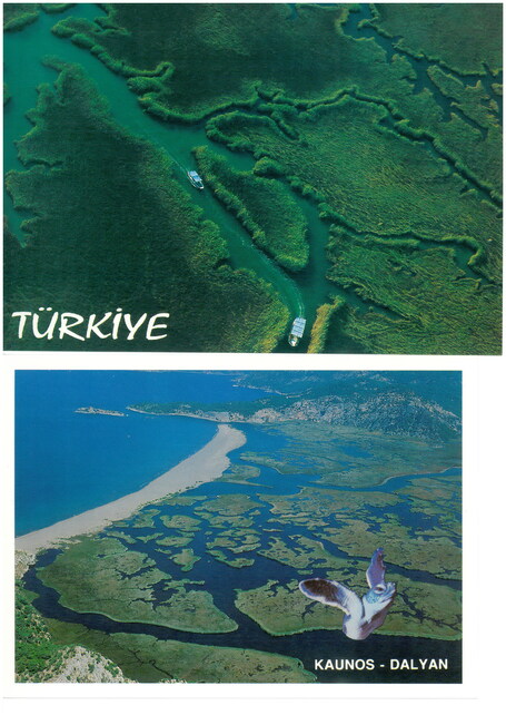 Dalyan Caunos Tekne Turu 9