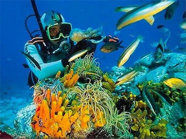 Unutulmaz Turlarla Marmaris'i Keşfedin 5