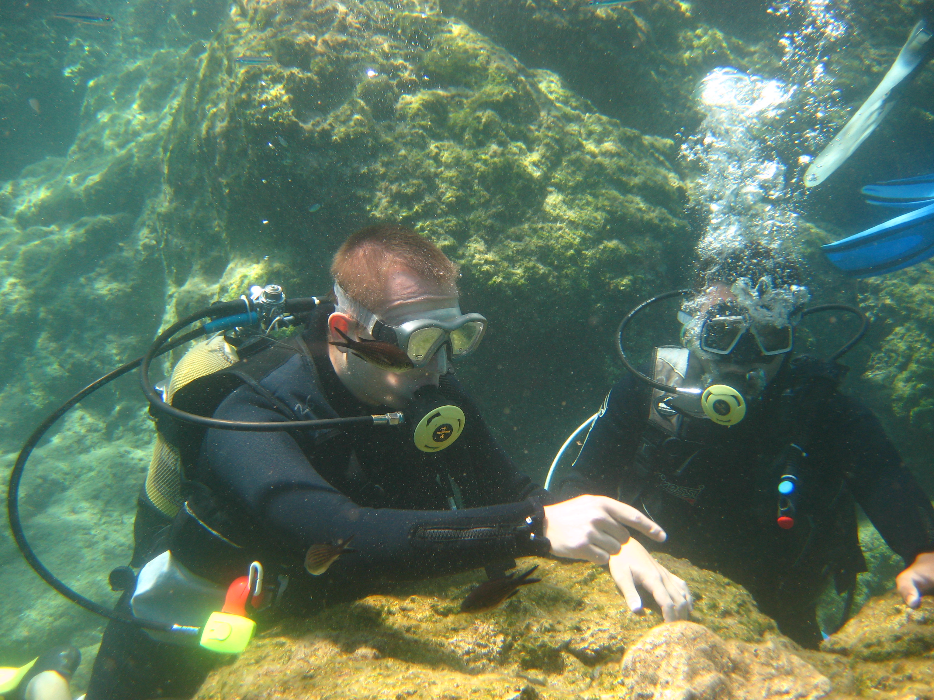 Marmaris Dalış Turu 5